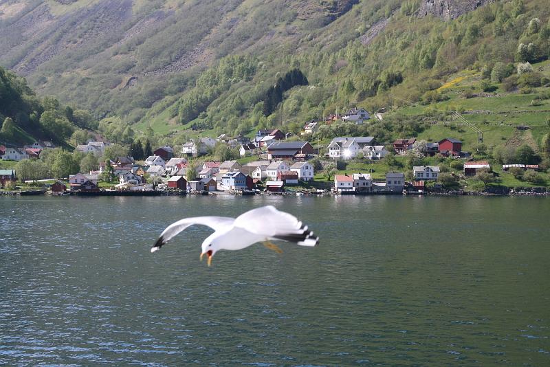 Fjords (65).jpg